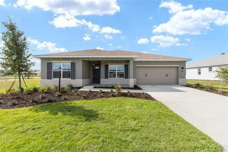 New construction Single-Family house 10731 Sw 102Nd Ln, Ocala, FL 34481 - image