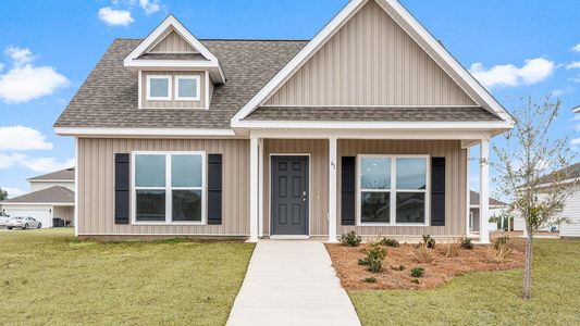 New construction Single-Family house 20 Elderberry St, Freeport, FL 32439 plan Bayberry - image