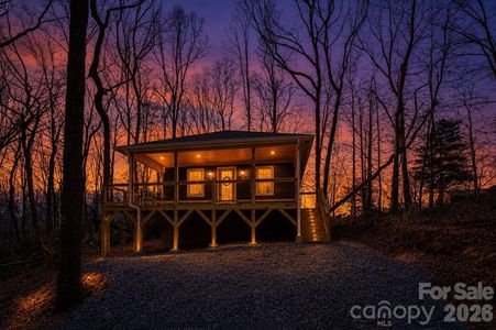 New construction Single-Family house 137 E Arbutus Trl, Hendersonville, NC 28792 - image