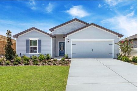 New construction Single-Family house 12885 Sw 58Th Cir, Ocala, FL 34473 - image