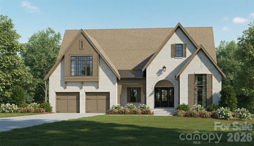New construction Single-Family house 19149 Newburg Hill Rd, Davidson, NC 28036 - image
