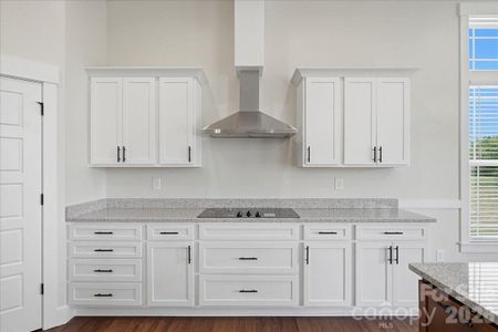 New construction Single-Family house 36 Sky Lane Ct, Unit 1, Columbus, NC 28722 - image 7
