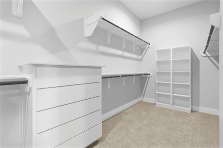New construction Single-Family house 400 Inner Cove Ln, Waller, TX 77484 null- photo 13 13