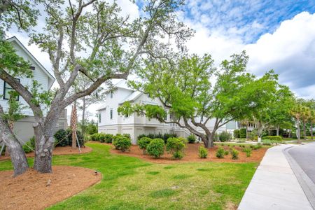 New construction Single-Family house 835 Dunham Street, Charleston, SC 29492 - photo 7 7