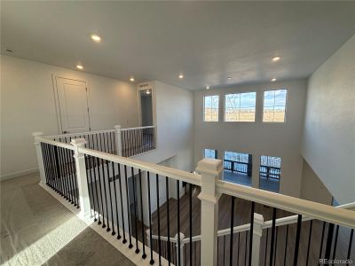 New construction Single-Family house 2904 S Poppy St, Morrison, CO 80465 null- photo 8 8