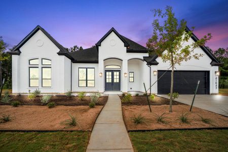 New construction Single-Family house 41843 Wendele Wy, Todd Mission, TX 77316 plan Raleigh 3530 - image