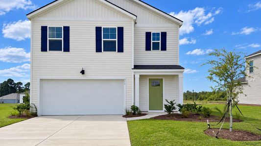 New construction Single-Family house 311 Flax St, Statesboro, GA 30461 plan Robie - image