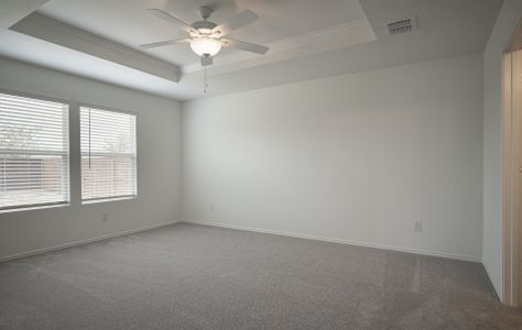 Spacious owner's suite with tray ceiling