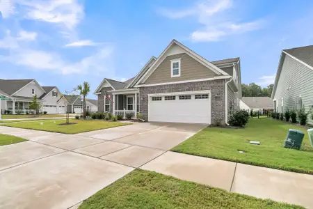 New construction Single-Family house 4029 Wood Violet Ln, Summerville, SC 29483 - image