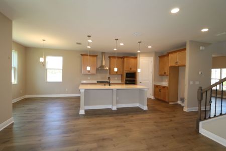 New construction Single-Family house 20125 Oriana Loop, Land O' Lakes, FL 34638 Santina II- photo 188 188