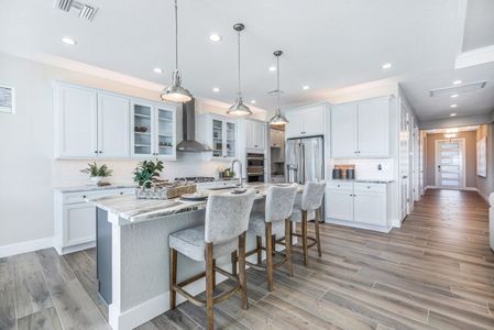 New construction Single-Family house Parrish, FL 34219 null- photo 6 6