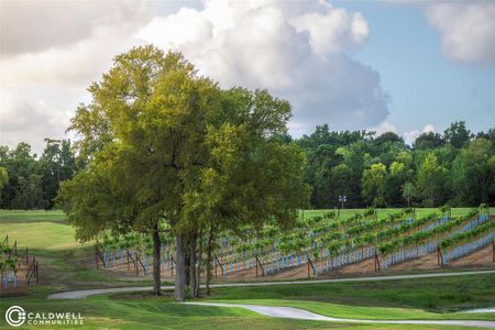 Chambers Creek by Jamestown Estate Homes in Willis - image 3