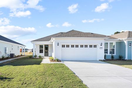 New construction Single-Family house 74 Jack Crevalle Wy, Bluffton, SC 29909 plan Caledonia - image
