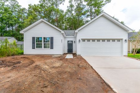 New construction Single-Family house 105 Equestrian Ct, Summerville, SC 29486 null- photo 1 1