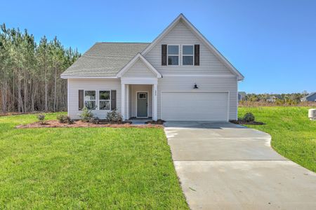 New construction Single-Family house 505 New Regenia Pl, Holly Hill, SC 29059 - image