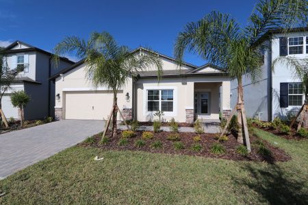 New construction Single-Family house 4763 Beachrose Way, Lakeland, FL 33811 Picasso- photo 17 17