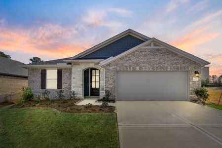 New construction Single-Family house 19757 Flag View Dr, Montgomery, TX 77316 plan Teton - image