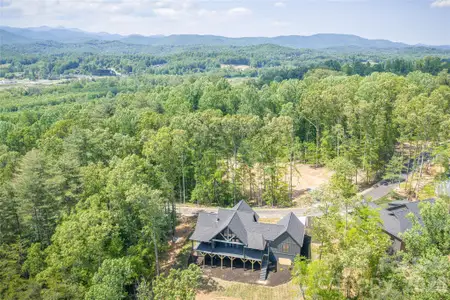 New construction Single-Family house 148 Reserve Wy, Hendersonville, NC 28739 - image