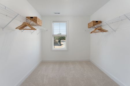 New construction Single-Family house 228 S Bandwheel Wy, Hampstead, NC 28443 plan Mt. Vernon - image 20