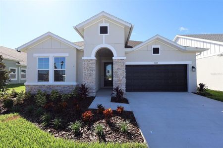 New construction Single-Family house 5039 Chapel Row Ave, Apollo Beach, FL 33572 plan The Claudine - image