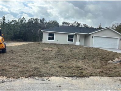 New construction Single-Family house 2056 Sw Sands Pt, Dunnellon, FL 34431 - image