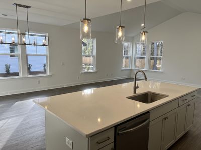 New construction Single-Family house 221 Creek Pointe Dr, Moncks Corner, SC 29461 plan Keeneland - image 17