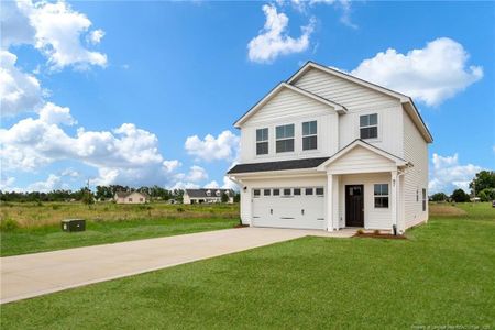 New construction Single-Family house 253 Barberry Rd, Raeford, NC 28376 - image