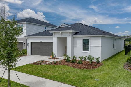 New construction Single-Family house 12253 Cattleside Dr, Riverview, FL 33579 - image