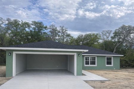 New construction Single-Family house 30 Sequoia Drive Trce, Ocklawaha, FL 32179 - image