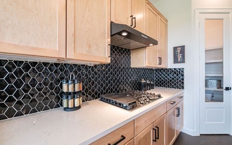 New construction Single-Family house 1608 Casting Rdg, Mesquite, TX 75181 plan Eureka - image 13