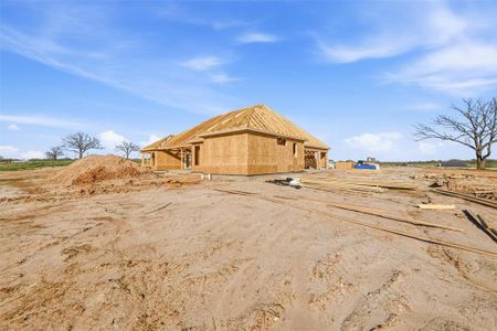 New construction Single-Family house 118 Guynell Rdg, Decatur, TX 76234 - image 3