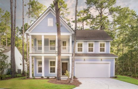 New construction Single-Family house 62 Scarlet Sage Dr, Bluffton, SC 29910 plan Continental - image