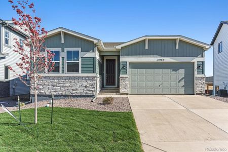 New construction Single-Family house 4965 Krueger Rd, Colorado Springs, CO 80925 plan Cimarron - image