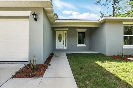 New construction Single-Family house 225 Starling Ct, Kissimmee, FL 34759 - image