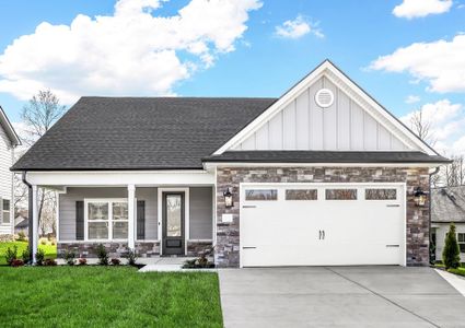 New construction Single-Family house 320 Springbrook Blvd, White House, TN 37188 plan Birch - image