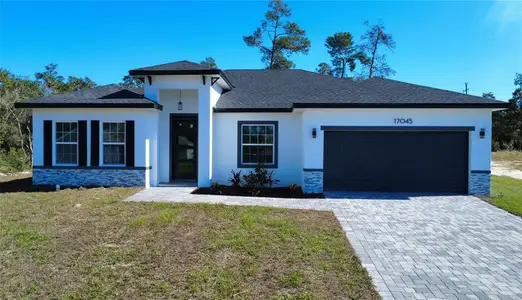 New construction Single-Family house 17045 Sw 30Th Avenue Rd, Ocala, FL 34473 - image