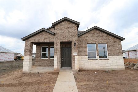 New construction Single-Family house 14009 Edna Maxine Walk, Del Valle, TX 78617 Tartini- photo 0