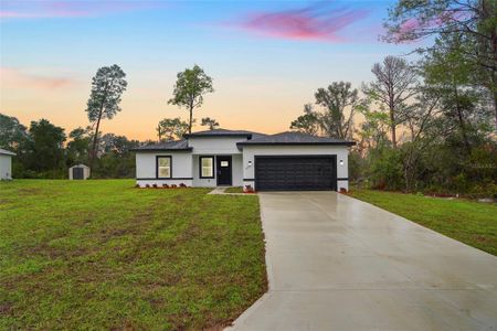 New construction Single-Family house 2252 Sw 168Th Lp, Ocala, FL 34473 null- photo 0