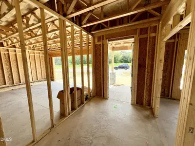 New construction Single-Family house 169 Pendergrass, Princeton, NC 27569 - image