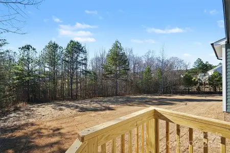 New construction Single-Family house 1059 Sage Pine Cir, Clover, SC 29710 - image 4