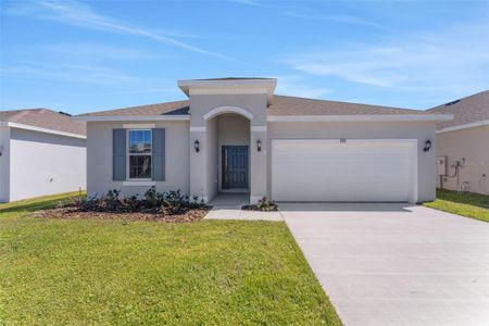 New construction Single-Family house 191 Bottle Brush Dr, Haines City, FL 33844 Mulberry- photo 23 23