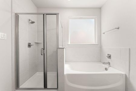 New construction Single-Family house 252 Bright Alcove Ct, Lavon, TX 75166 plan Walton - image 13