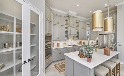 New construction Single-Family house 26 Night Owl Ct, St. Augustine, FL 32092 plan Serena - Classic Series | 50' Wide Lots - image 12