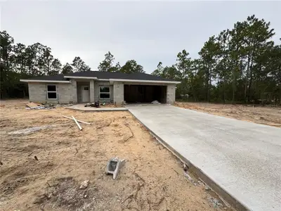 New construction Single-Family house 2680 Nw Buena Vista Rd, Dunnellon, FL 34431 - image