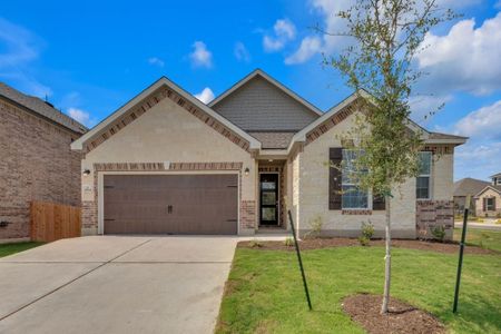 New construction Single-Family house 3764 Liberi Ln, Round Rock, TX 78665 - image