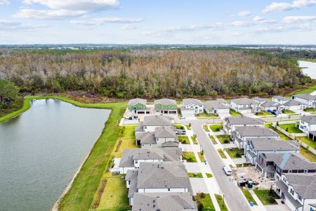 New construction Single-Family house 7819 Notched Pine Bnd, Wesley Chapel, FL 33545 Windsor- photo 137 137