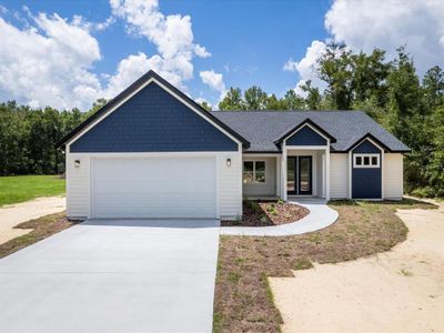New construction Single-Family house 312 Sw Thistlewood Ln, Fort White, FL 32038 - image