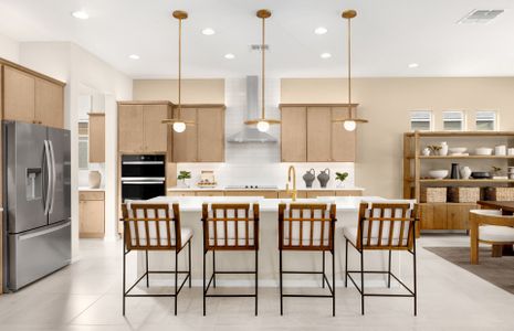 New construction Single-Family house 3855 N Sun City Blvd, Florence, AZ 85132 plan Endeavor - image 7