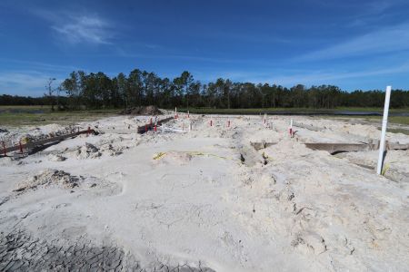 New construction Single-Family house 1787 Drummond Pt, Zephyrhills, FL 33541 Sonoma II- photo 10 10