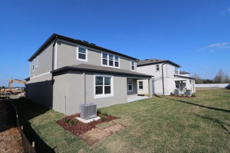 New construction Single-Family house 38326 Tobiano Loop, Dade City, FL 33525 Casanova- photo 119 119